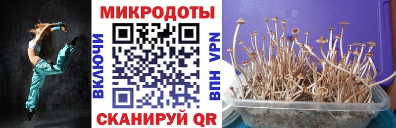Псилоцибиновые грибы MAGIC MUSHROOMS  где продают   Ахтырский 